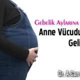 Gebelik aylarına göre anne vücudunun gelişimi
