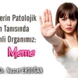 Kanserin patolojik erken tanısında önemli organımız: meme