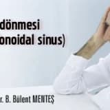 Kıl dönmesi - pilonoidal sinus