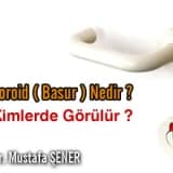 Hemoroid ( Basur ) Nedir ve Kimlerde Görülür ?