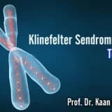 Klinefelter sendromunda tedavi