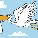 Üremeye Yardımcı Tekniklerde Yardımcı Olarak Kullanılan Potansiyel Tedaviler: 