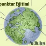 Akupunktur eğitimi; amaç ve beklentiler