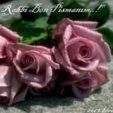 Dr. Adile nur Yeşil Profil Fotoğrafı