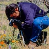 Dr. Kerimierden Gökay Profil Fotoğrafı