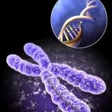 Uzm. Dr. Esra Ataman Profil Fotoğrafı