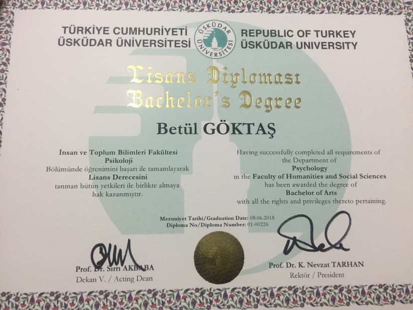 Psikolog Diploma