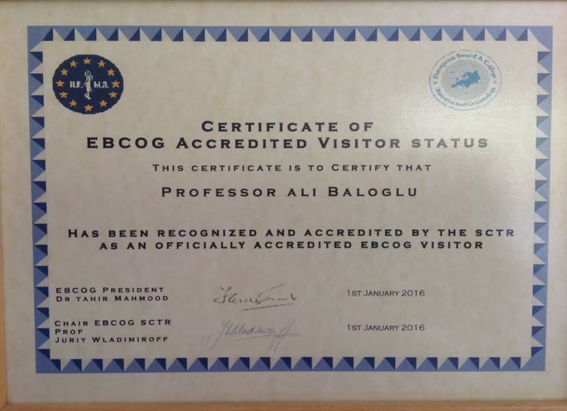 Certificate Of Ebcog Accredited Visitor Status
