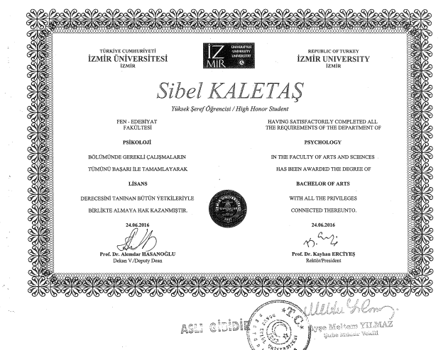 LİSANS SERTİFİKASI