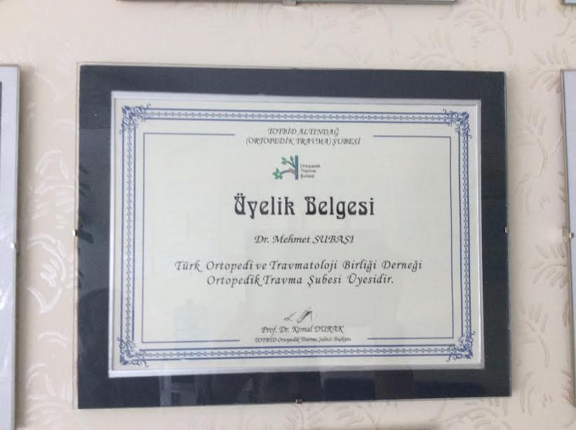 Türk Ortopedi ve Travmatoloji Derneği Birliği Derneği