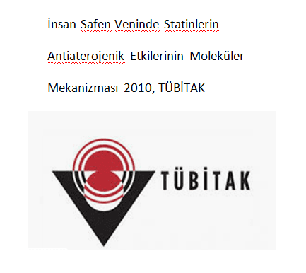 İnsan Safen Veninde Statinlerin Antiaterojenik Etkilerinin Moleküler Mekanizması 2010, TÜBİTAK