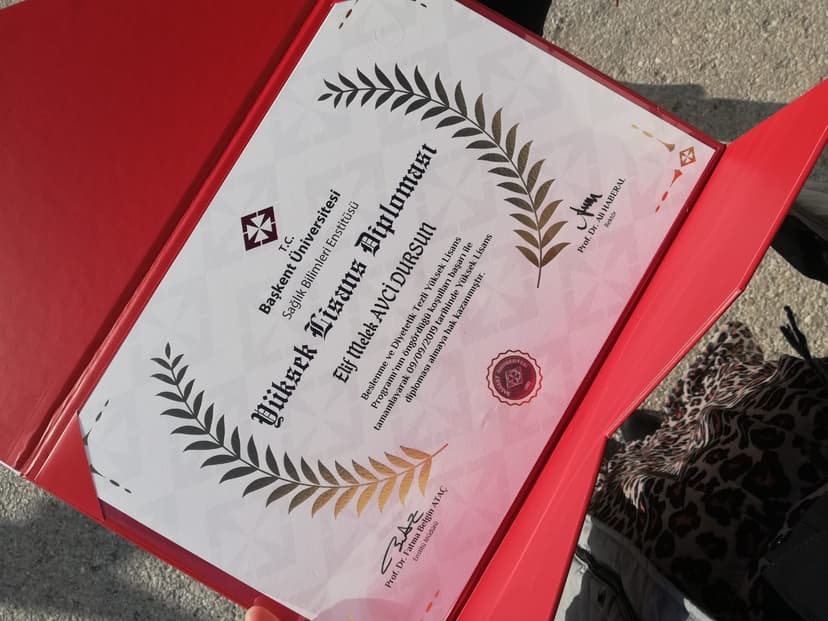 YÜKSEK LİSANS DİPLOMASI