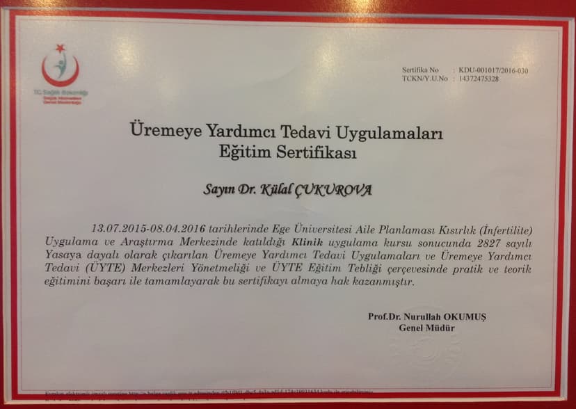 Tüp bebek sertifikası