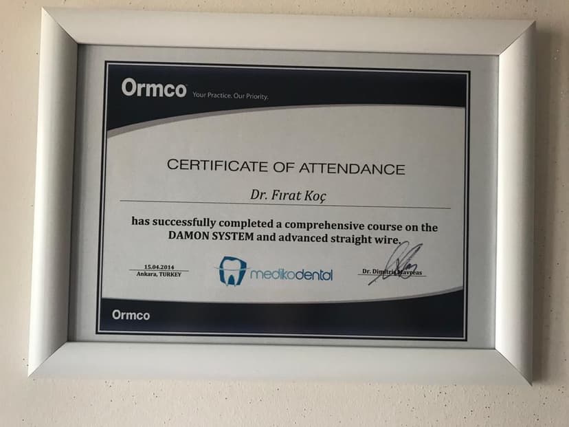 Damon System World I