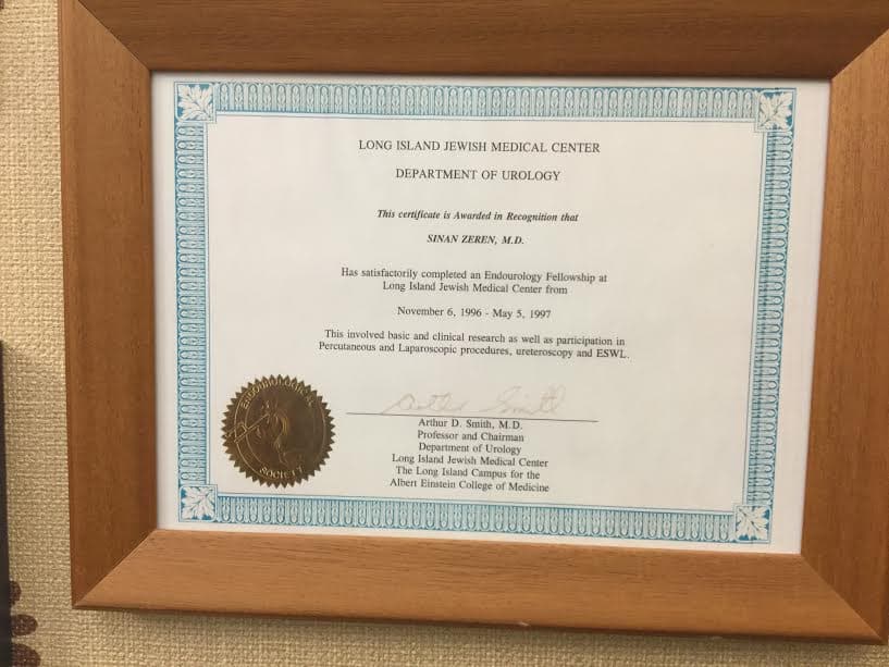 This Certificate is Awarded in Recognition of Successful Completion of Endourology Training in LIJ Medical Center New York-USA