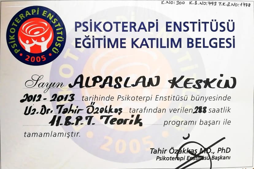 BÜTÜNCÜL PSİKOTERAPİ TEORİK