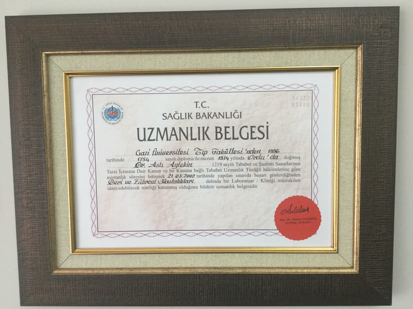 Uzmanlık Belgesi