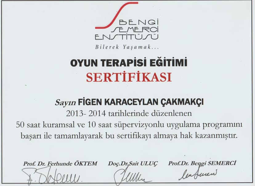 Oyun Terapisi Eğitimi