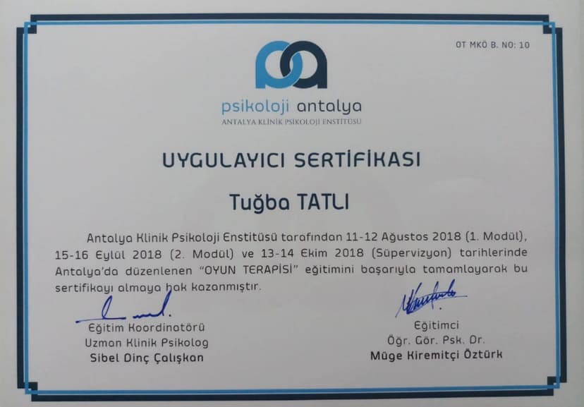 Oyun Terapisi Uygulayıcı Sertifikası