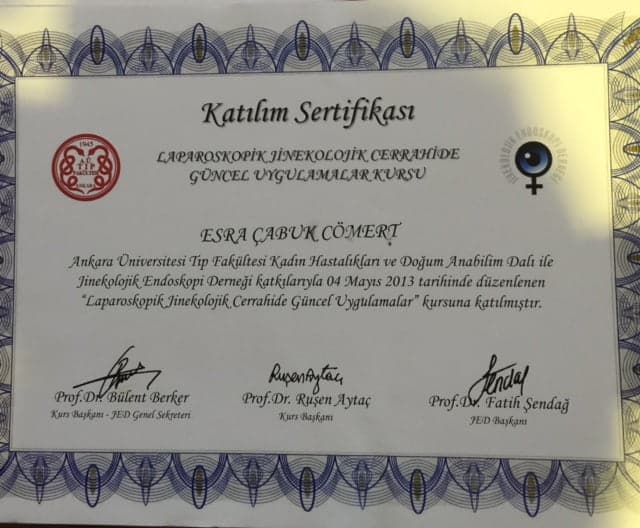 Laparoskopik Jinekolojik Cerrahide Güncel Uygulamalar Kursu