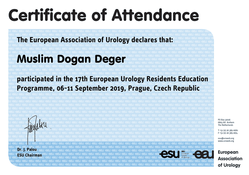 Avrupa üroloji derneği üroloji eğitimi bitirme kursu