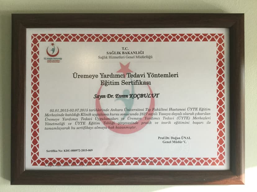 Üremeye Yardımcı Tedavi Yöntemleri sertifikası