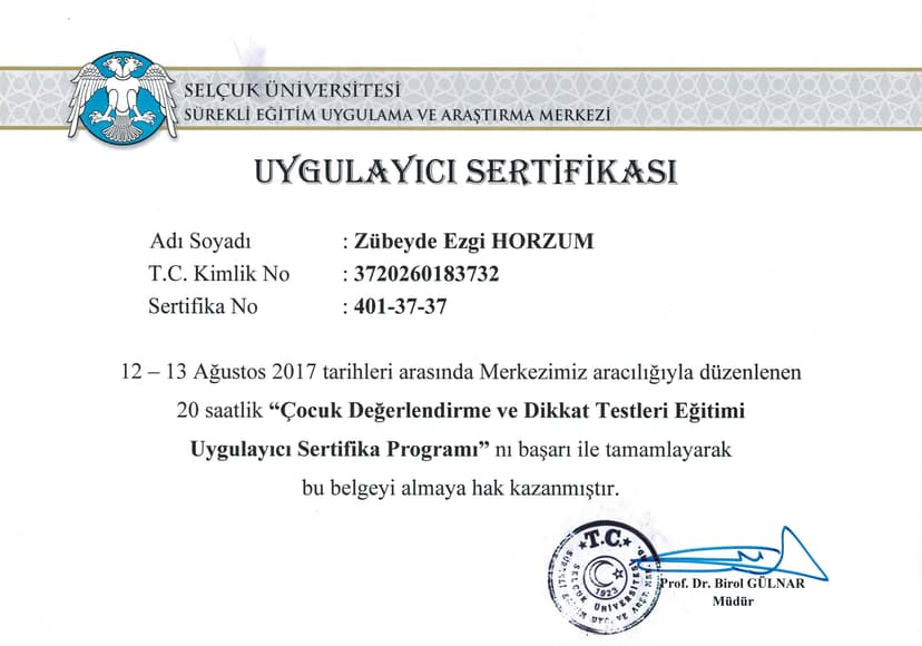 Çocuk Değerlendirme ve Dikkat Testleri Sertifikası