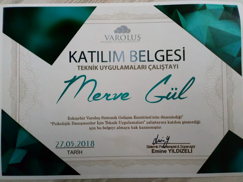 Psikolojik Danışmalar İçin Teknik Uygulamaları Çalıştayı