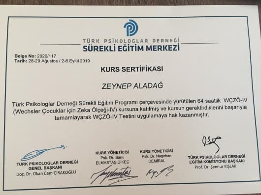 Wısc4 zeka testi