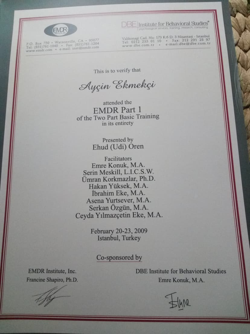 EMDR 1.DÜZEY EĞİTİMİ