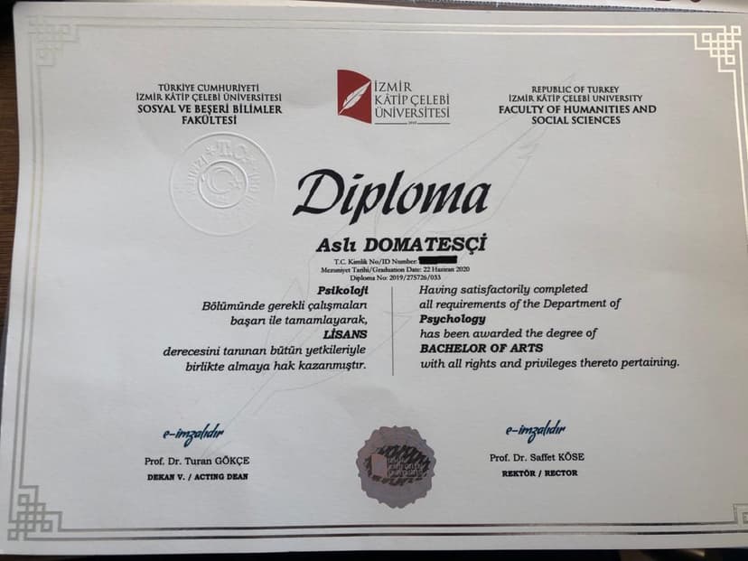 Lisans Diploması