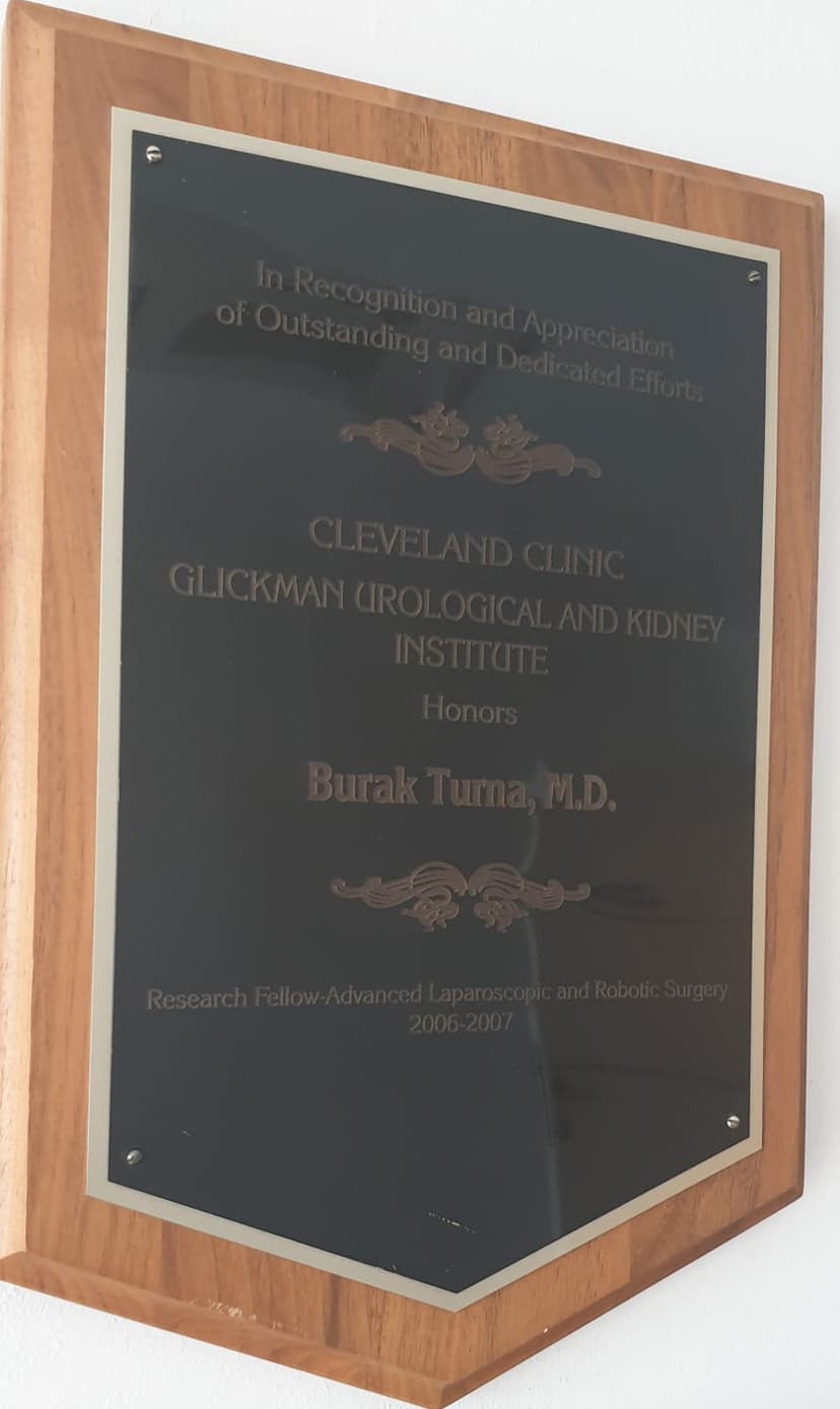 İleri düzey laparoskopik ve robotik cerrrahi