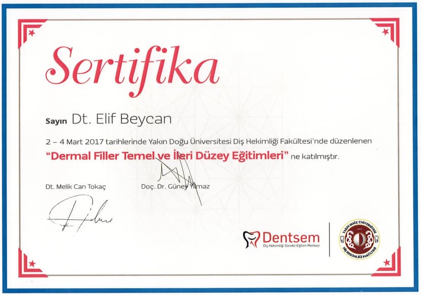 Dermal Filler Temel ve İleri Düzey Eğitimleri