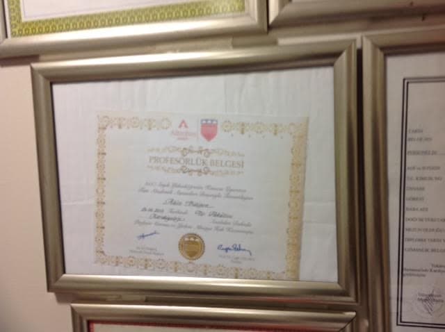 Profesörlük Belgesi-2013 KEMERBURGAZ ÜNV.TIP.FAK