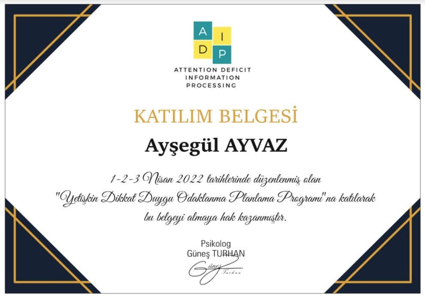 Yetişkin Dikkat Duygu Odaklanma Planlama Programı