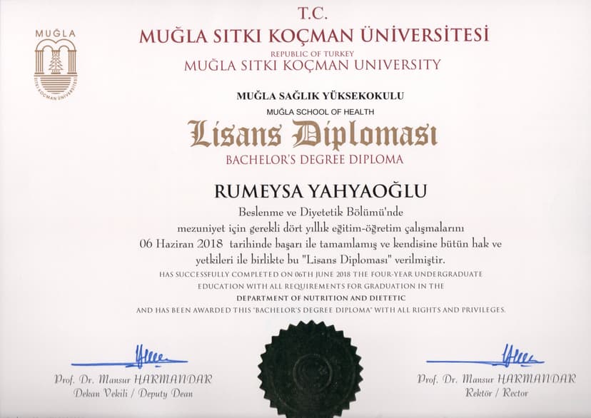 Lisans Diploması