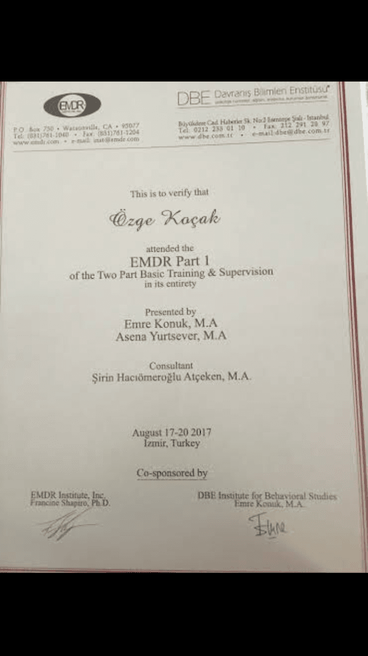 EMDR I. Düzey Eğitimi