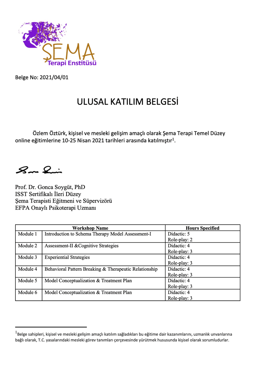 	ISST Approved International Schema Therapy Training Program