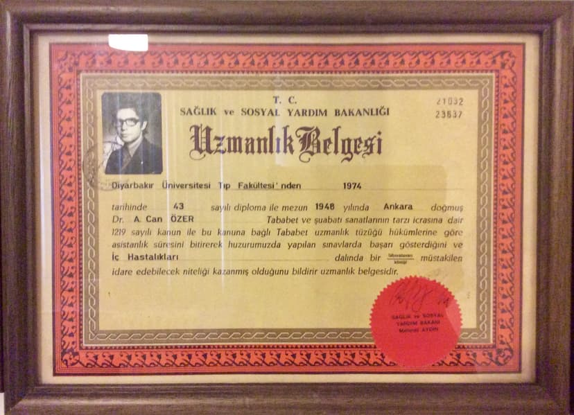 Uzmanlık Belgesi