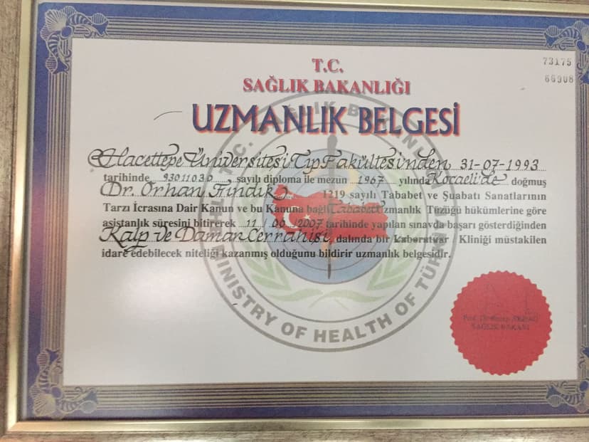 Uzmanlık Belgesi