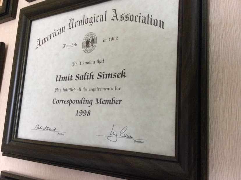 American Urological Association