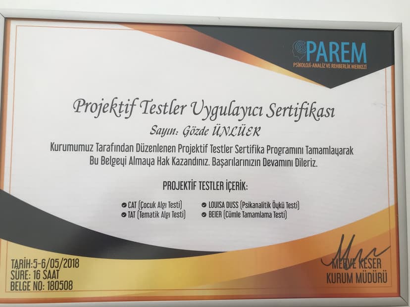Projektif Testler