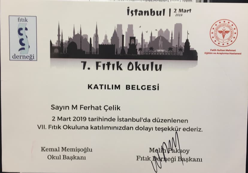 Fıtık okulu