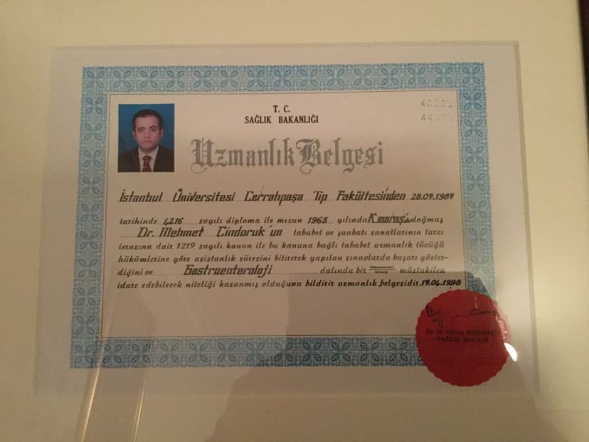 Uzmanlık Belgesi