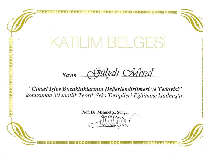 Cinsel İşlev Bozukluklarının Değerlendirilmesi Ve Tedavisi