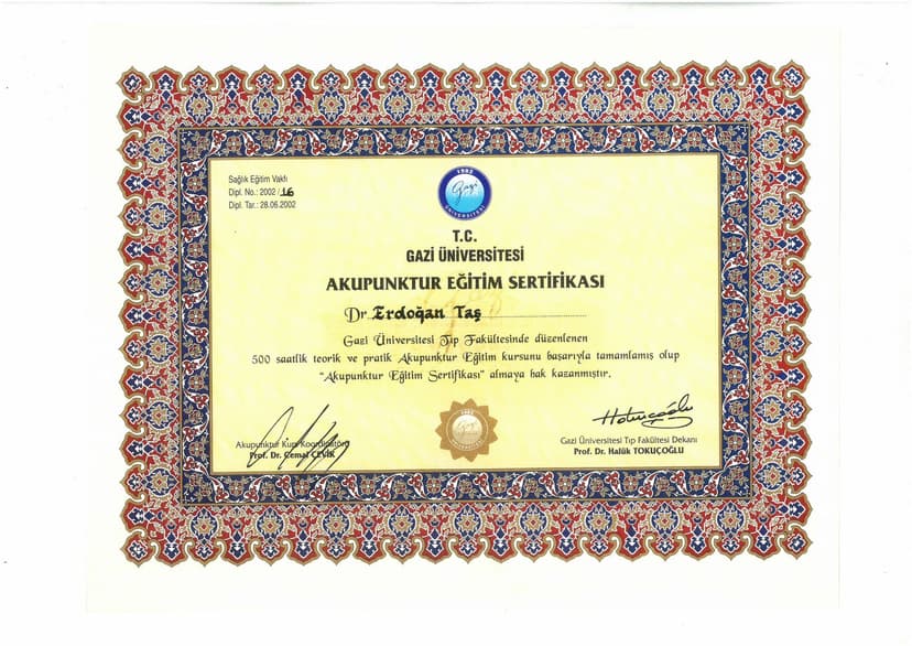 Acupunktur Eğitimi Sertifikası Gazi Üniv