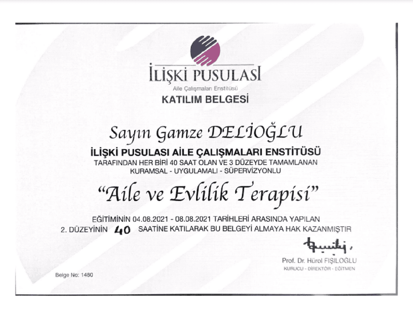 Aile ve Evlilik Terapisi 2. Düzey