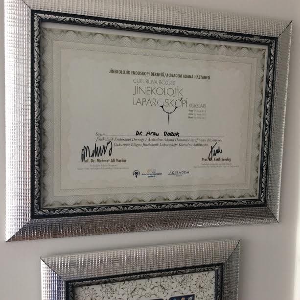 Jinekolojik Laparoskopi Kursları