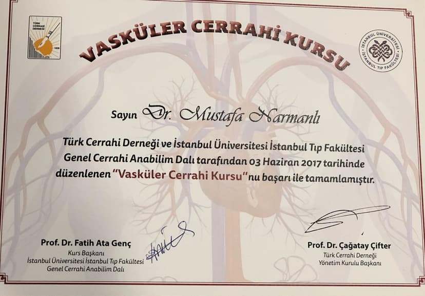 Vasküler Cerrahi Kursu