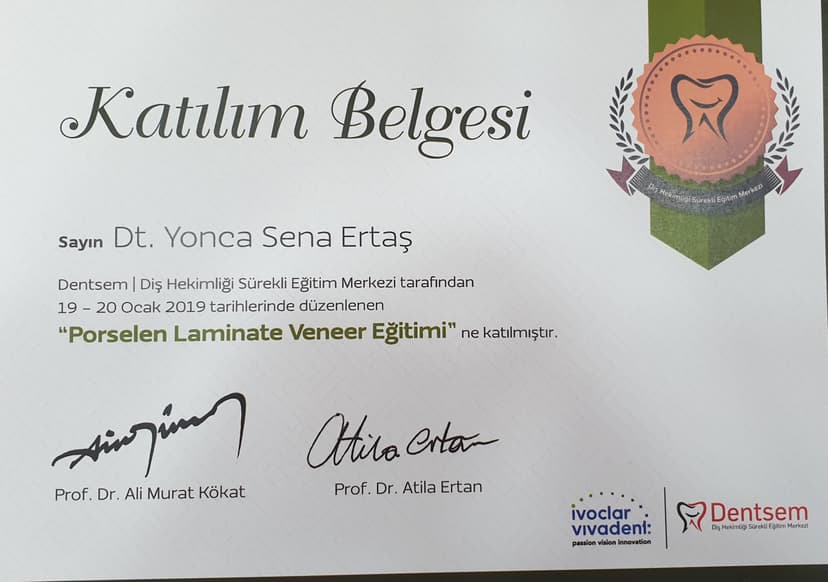 Porselen laminate veneer eğitimi